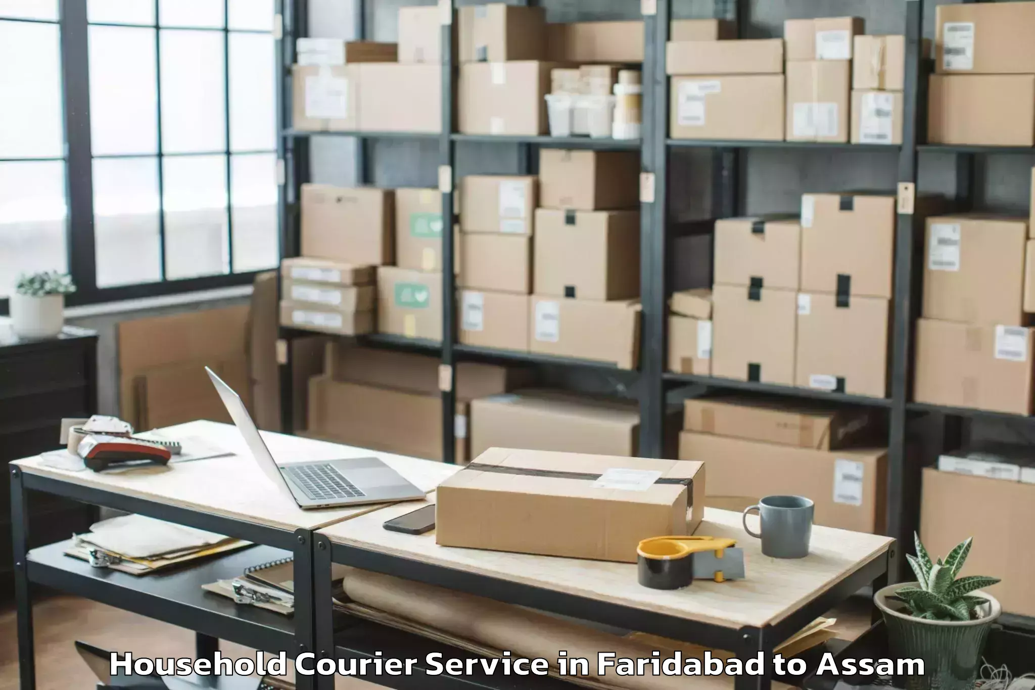 Expert Faridabad to Kaziranga University Jorhat Household Courier